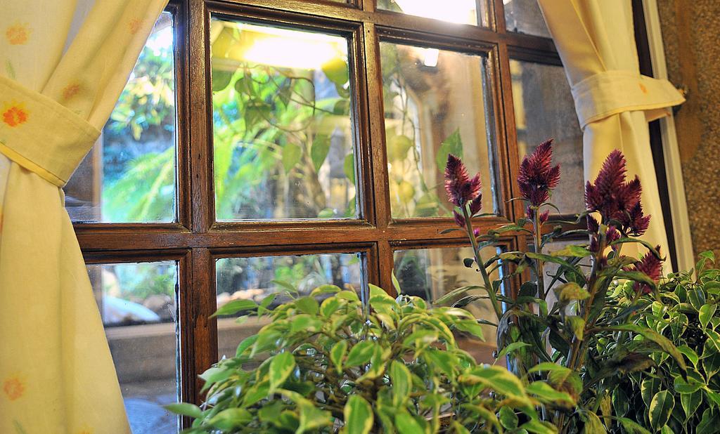 Hotel Gastronomico Casa Rosalia Brion Luaran gambar